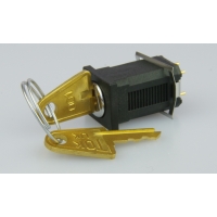 TOK001 2P on-on maintained key switch